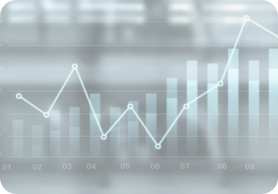 Investors Presentation