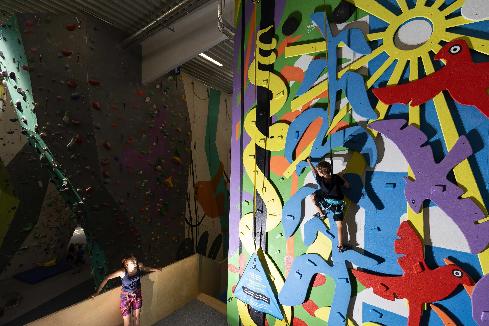 Ostrava ožije pohybem: V P3 Ostrava Central vznikne největší Jungle sport park v Česku